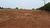 Sítio, 36 hectares - Foto 4