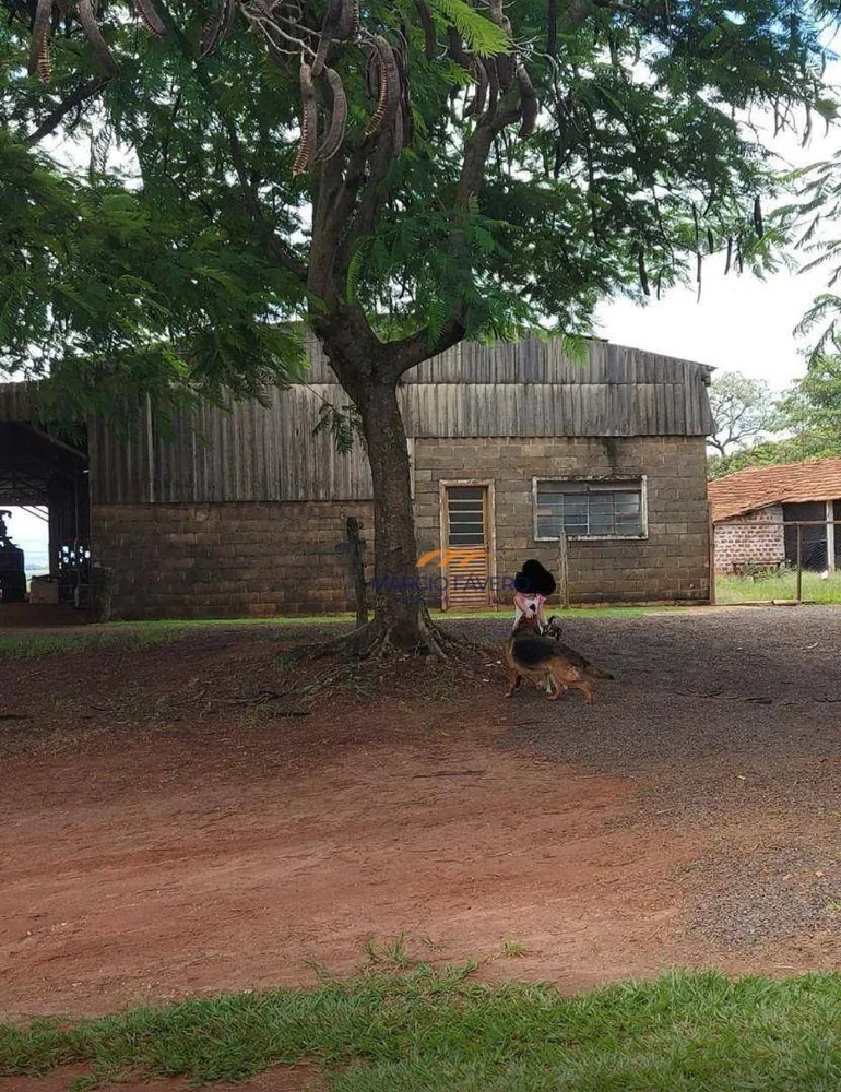 Fazenda, 518 hectares - Foto 3