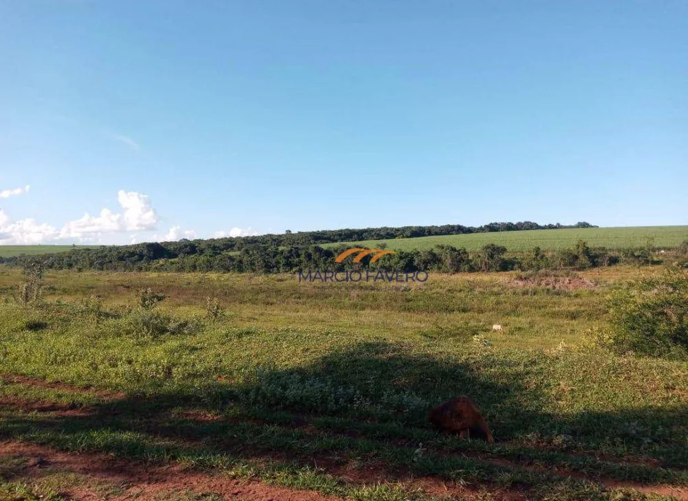Fazenda, 518 hectares - Foto 6