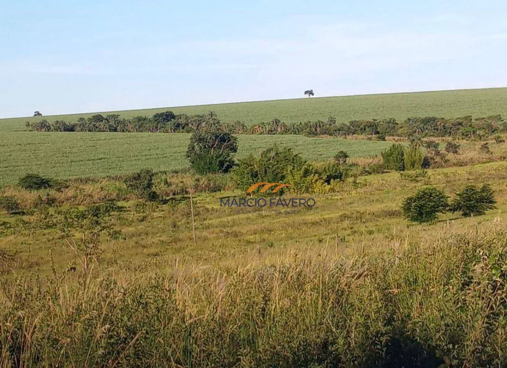 Fazenda, 518 hectares - Foto 7