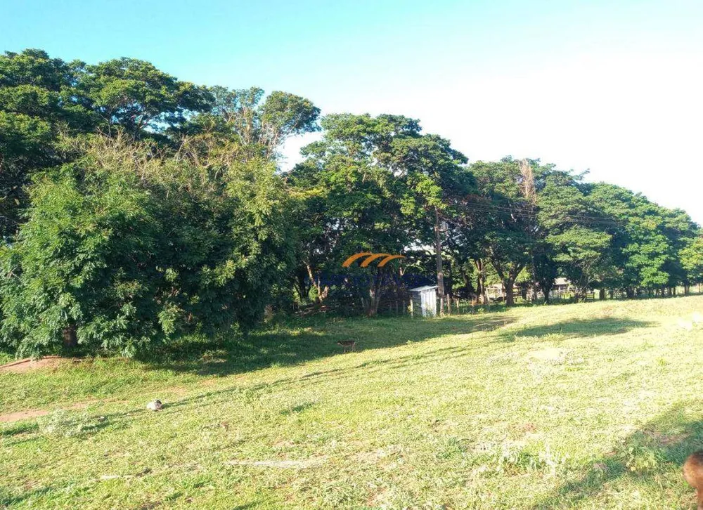 Fazenda, 518 hectares - Foto 8