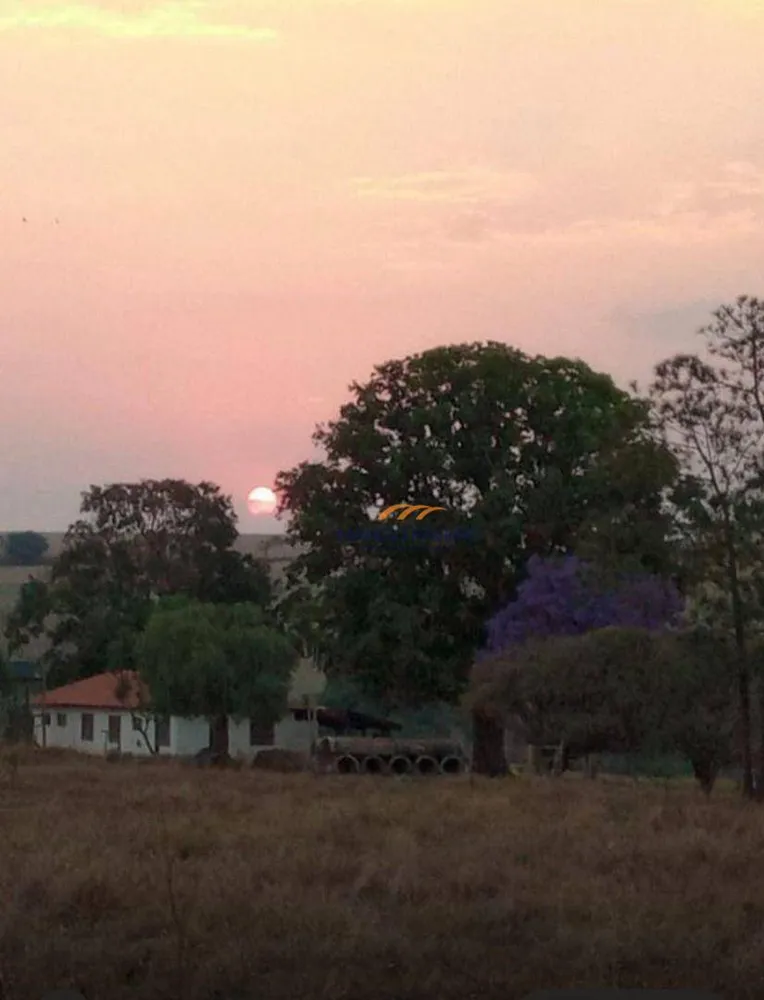 Fazenda, 518 hectares - Foto 2