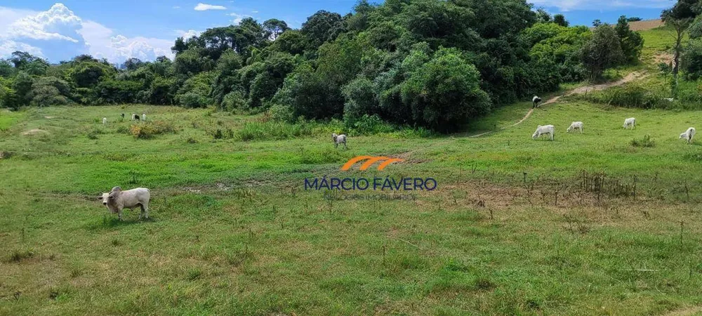 Fazenda, 136 hectares - Foto 8