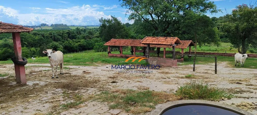 Fazenda, 136 hectares - Foto 6