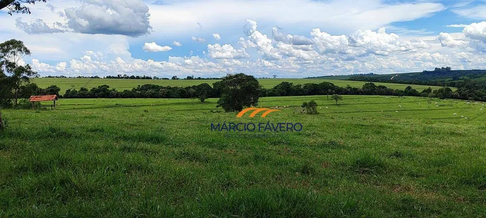 Fazenda, 136 hectares - Foto 12