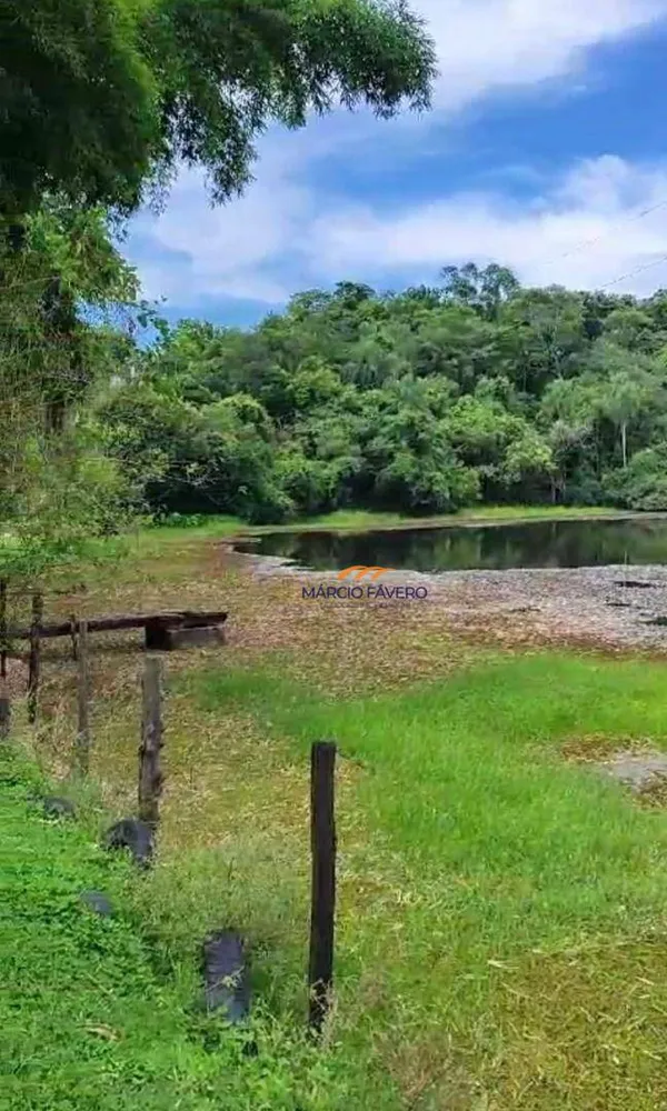 Fazenda, 136 hectares - Foto 15