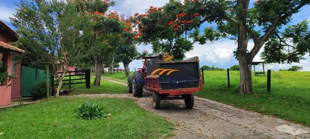 Fazenda, 136 hectares - Foto 3