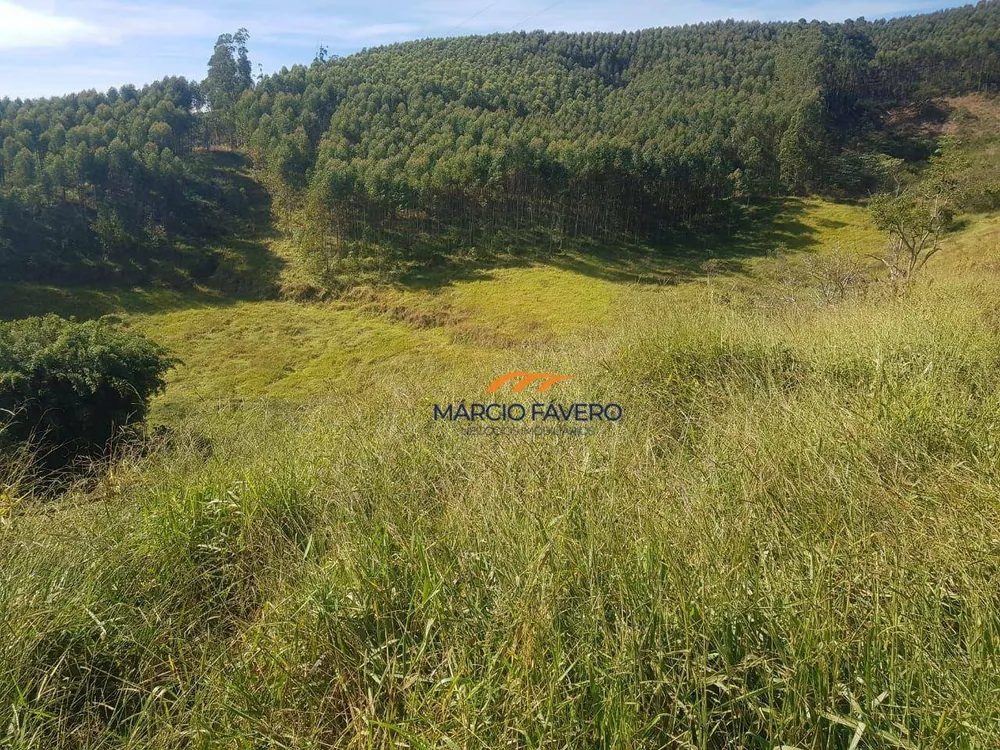 Fazenda, 303 hectares - Foto 3