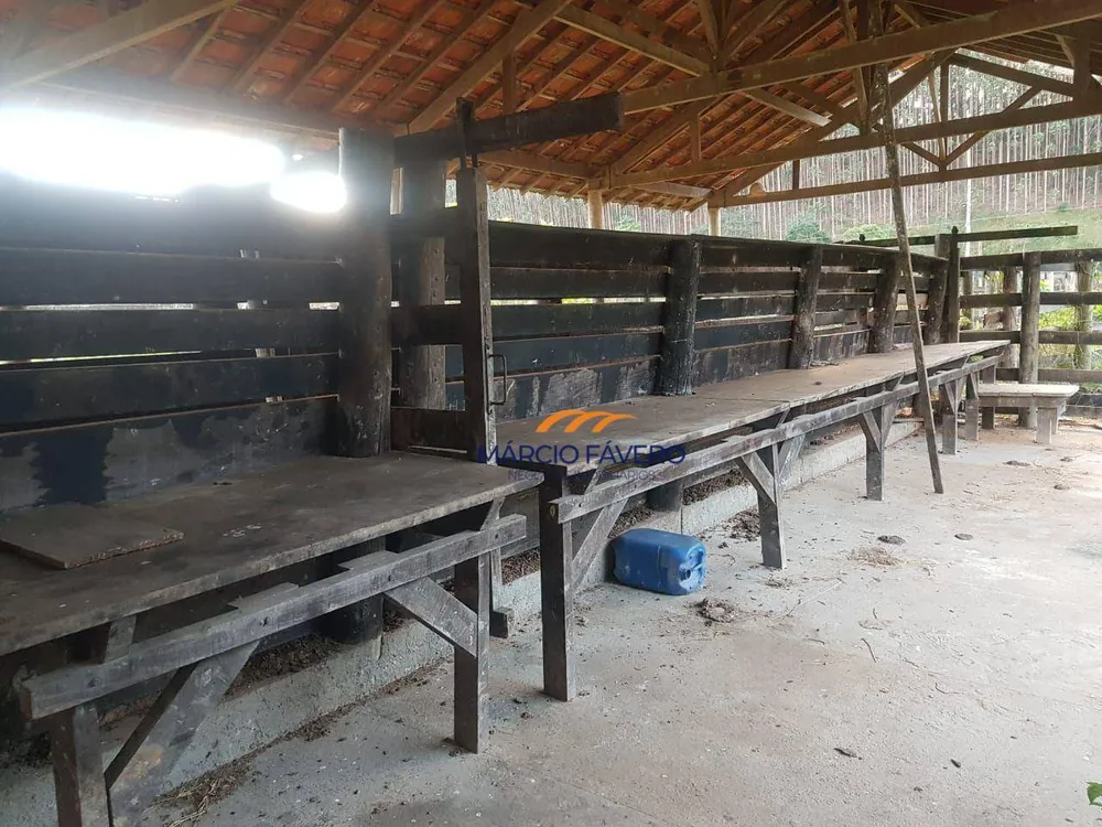 Fazenda, 303 hectares - Foto 7
