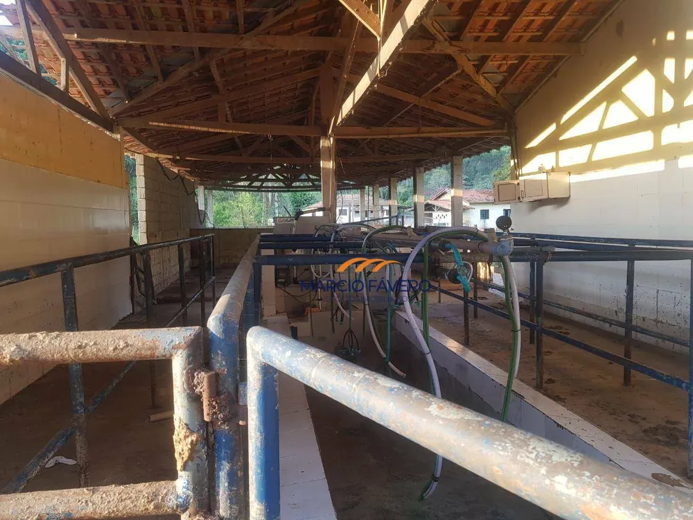 Fazenda, 303 hectares - Foto 4