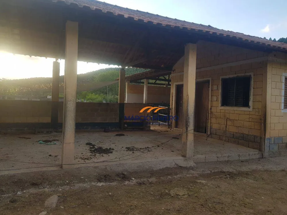 Fazenda, 303 hectares - Foto 11