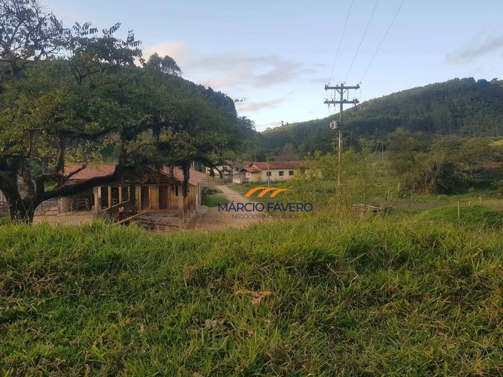 Fazenda, 303 hectares - Foto 9