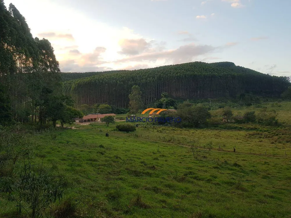 Fazenda, 303 hectares - Foto 15