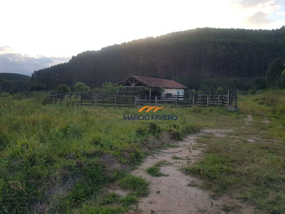 Fazenda, 303 hectares - Foto 8