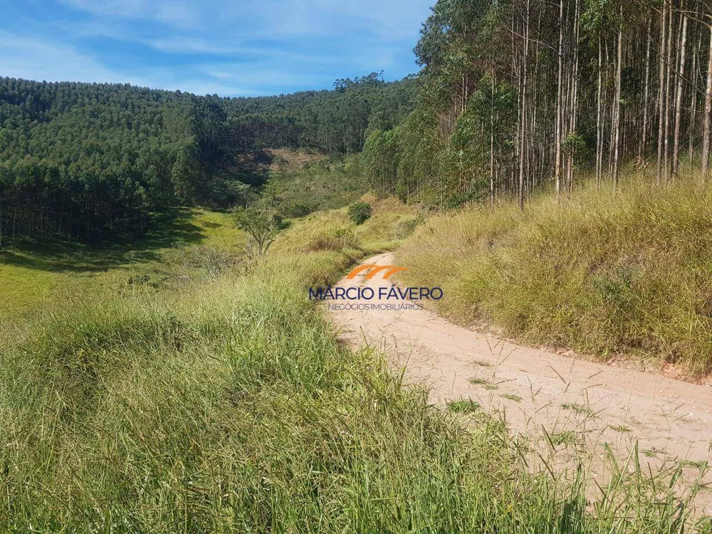 Fazenda, 303 hectares - Foto 12