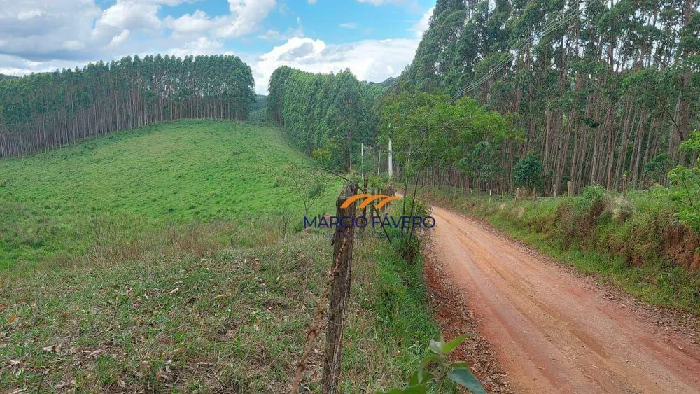 Fazenda, 303 hectares - Foto 16