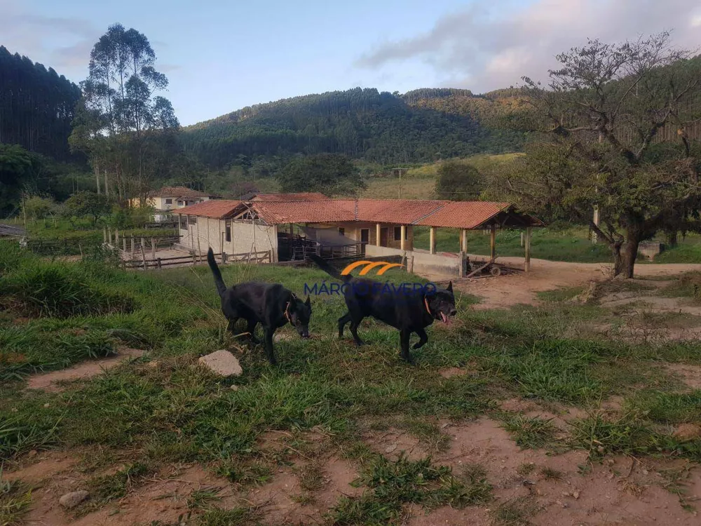 Fazenda, 303 hectares - Foto 10
