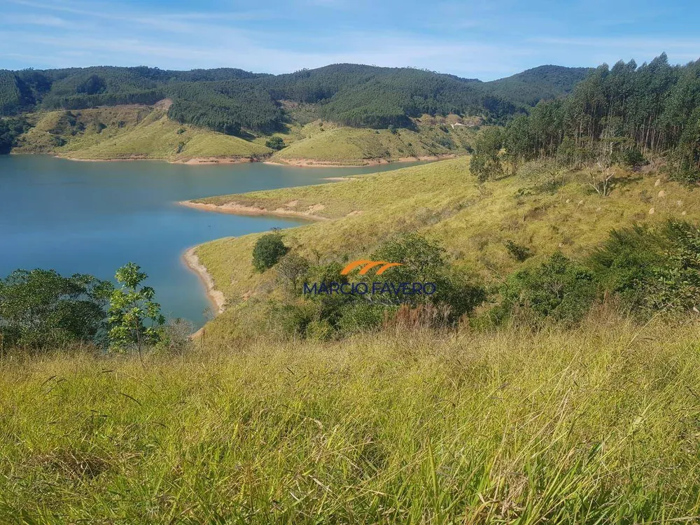 Fazenda, 303 hectares - Foto 2