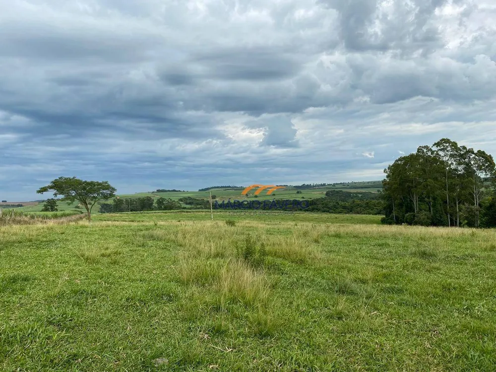 Sítio, 24 hectares - Foto 16