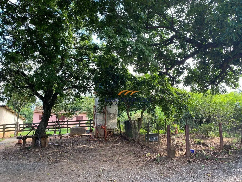 Sítio, 24 hectares - Foto 8