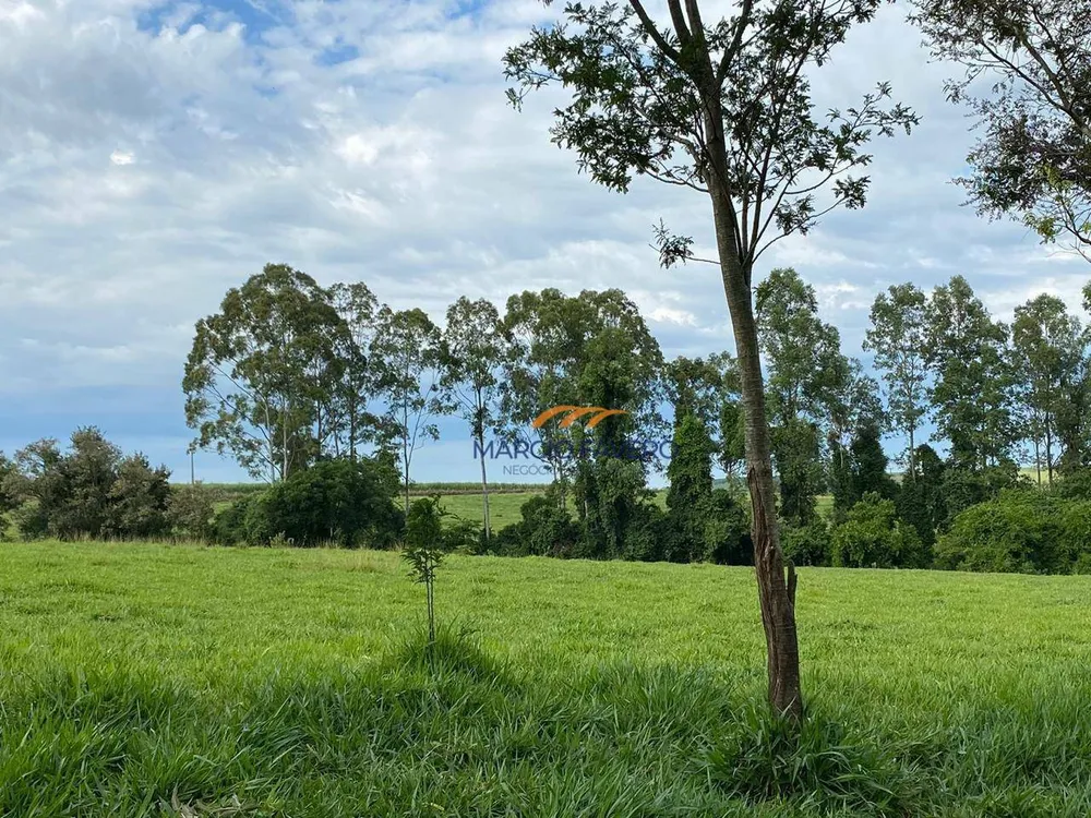 Sítio, 24 hectares - Foto 14