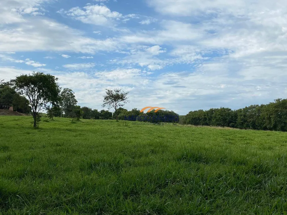 Sítio, 24 hectares - Foto 15