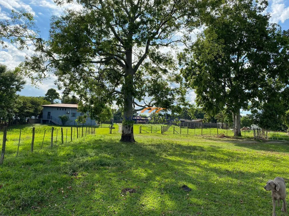 Sítio, 24 hectares - Foto 13