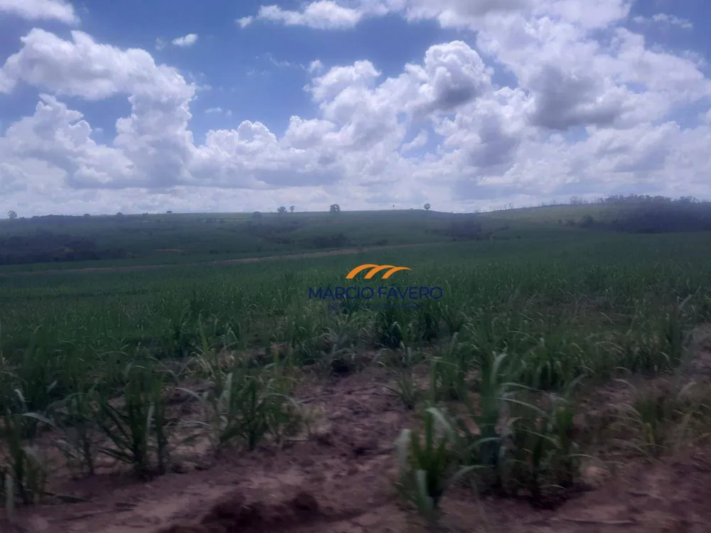 Fazenda, 169 hectares - Foto 4