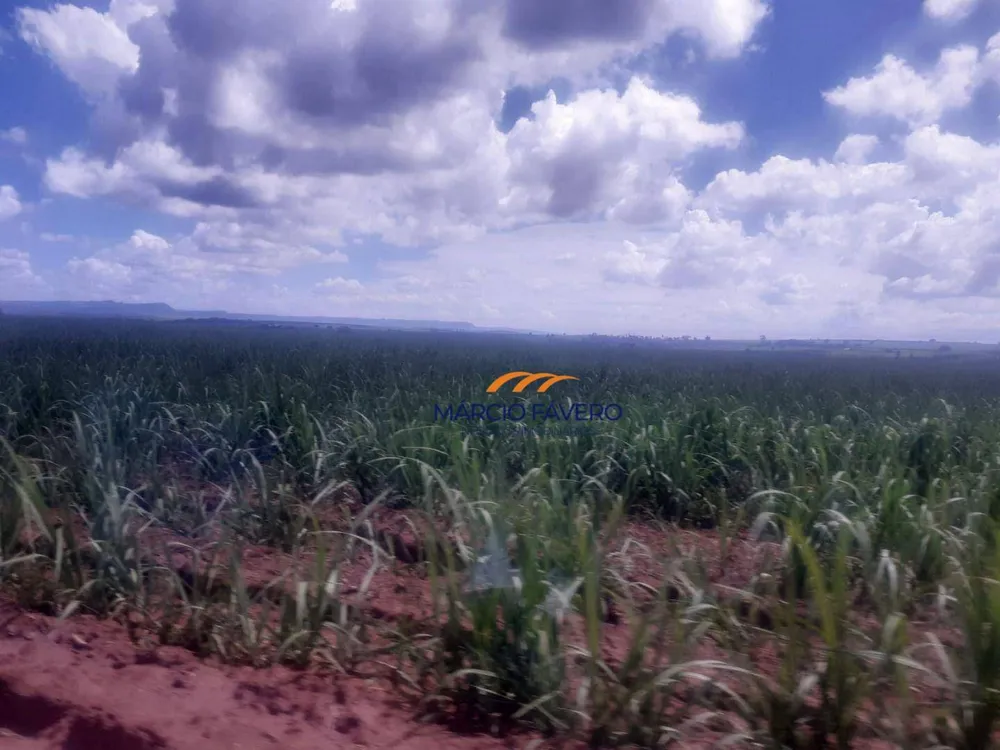 Fazenda, 169 hectares - Foto 1