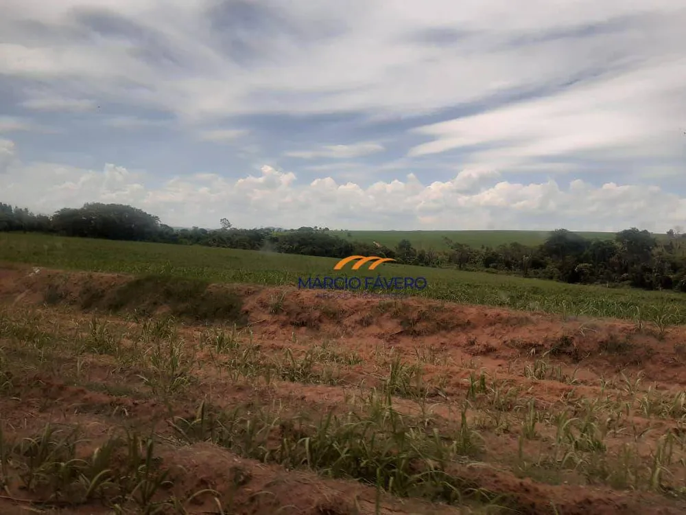 Fazenda, 169 hectares - Foto 6