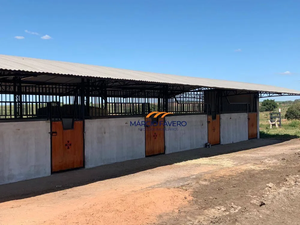 Fazenda, 218 hectares - Foto 8
