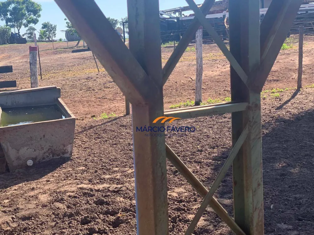 Fazenda, 218 hectares - Foto 6