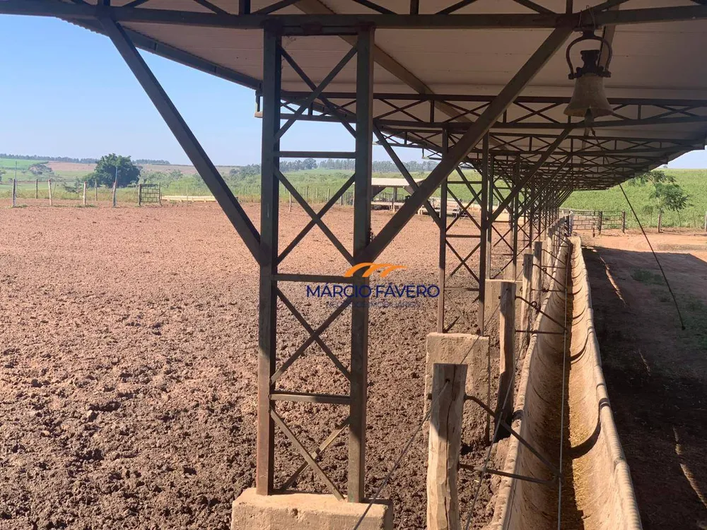 Fazenda, 218 hectares - Foto 12