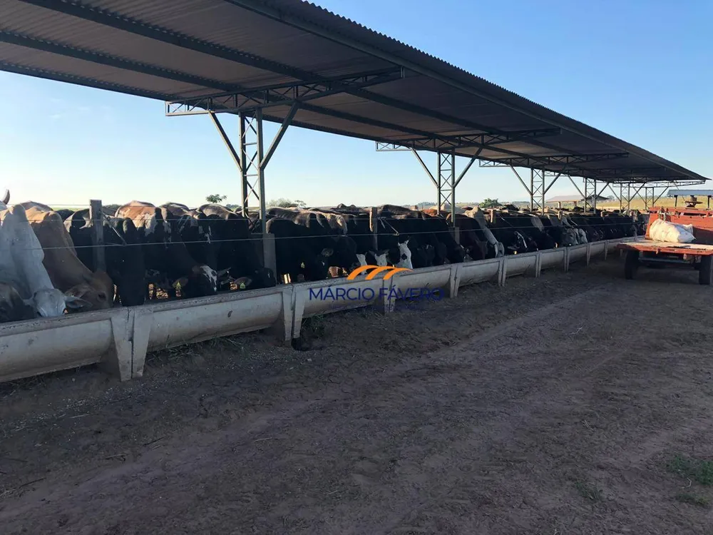Fazenda, 218 hectares - Foto 3