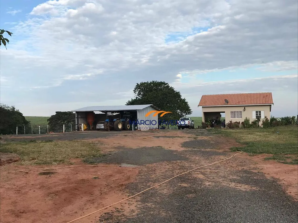 Fazenda, 218 hectares - Foto 4