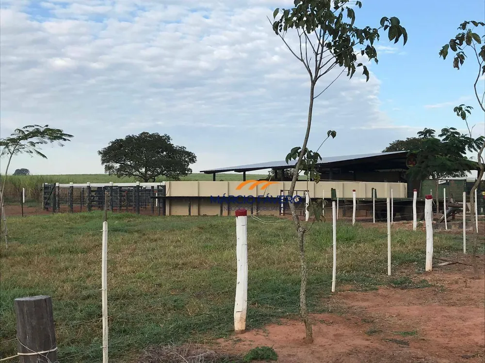 Fazenda, 218 hectares - Foto 7