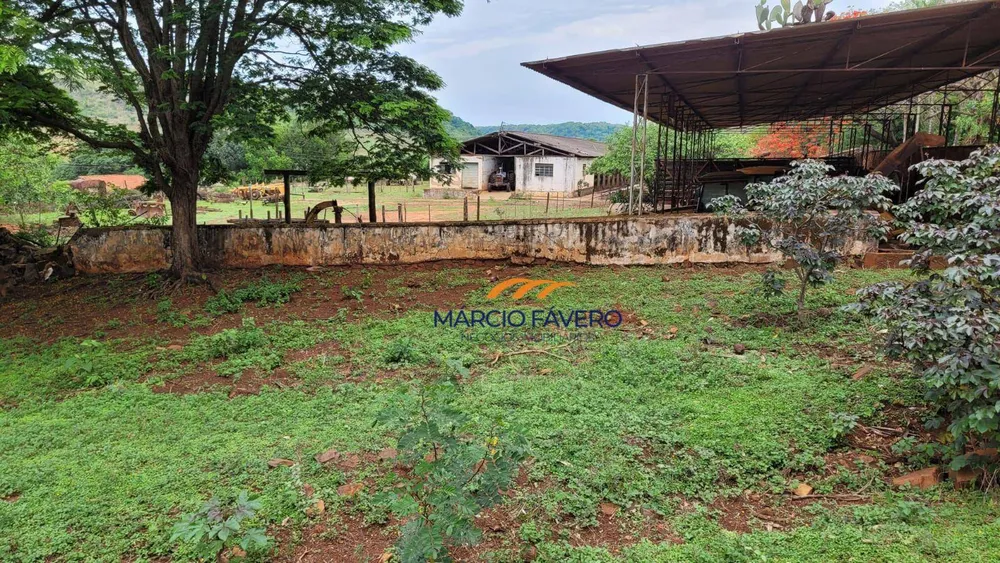 Fazenda, 329 hectares - Foto 3