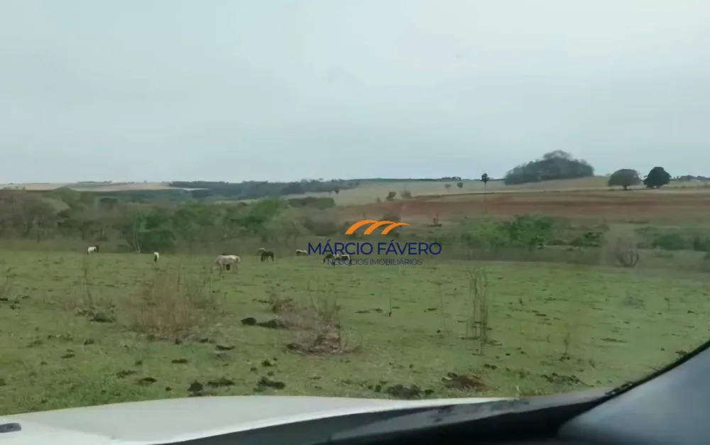 Fazenda, 329 hectares - Foto 6