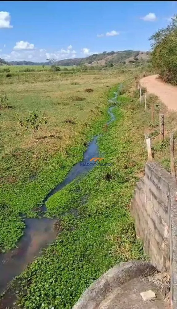 Fazenda, 329 hectares - Foto 2
