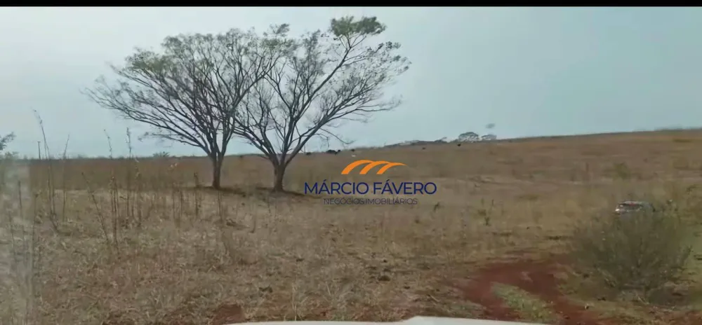 Fazenda, 329 hectares - Foto 8