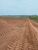 Fazenda-Sítio-Chácara, 218 hectares - Foto 8