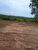 Fazenda-Sítio-Chácara, 218 hectares - Foto 4