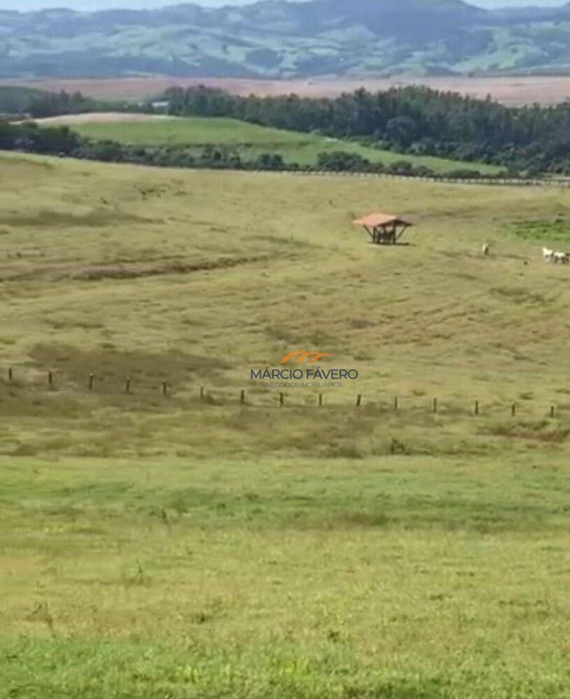 Fazenda, 162 hectares - Foto 2