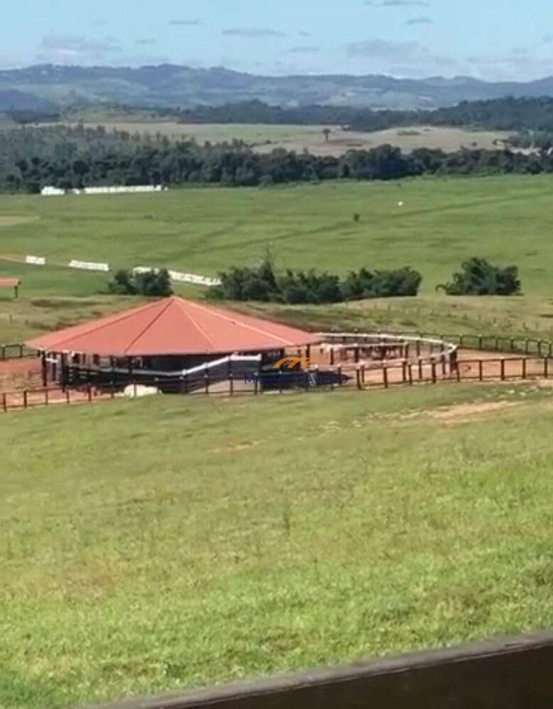 Fazenda, 162 hectares - Foto 4