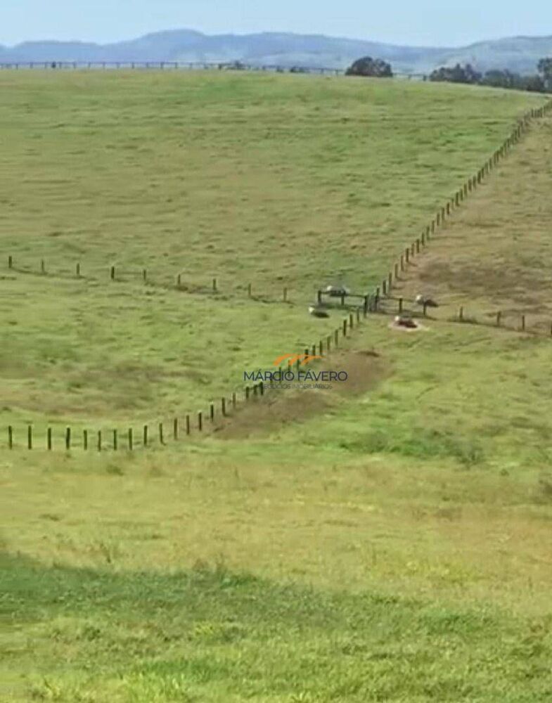 Fazenda, 162 hectares - Foto 6
