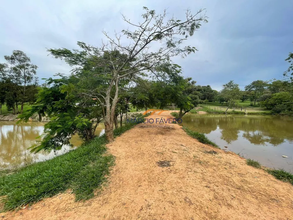 Fazenda, 48 hectares - Foto 2