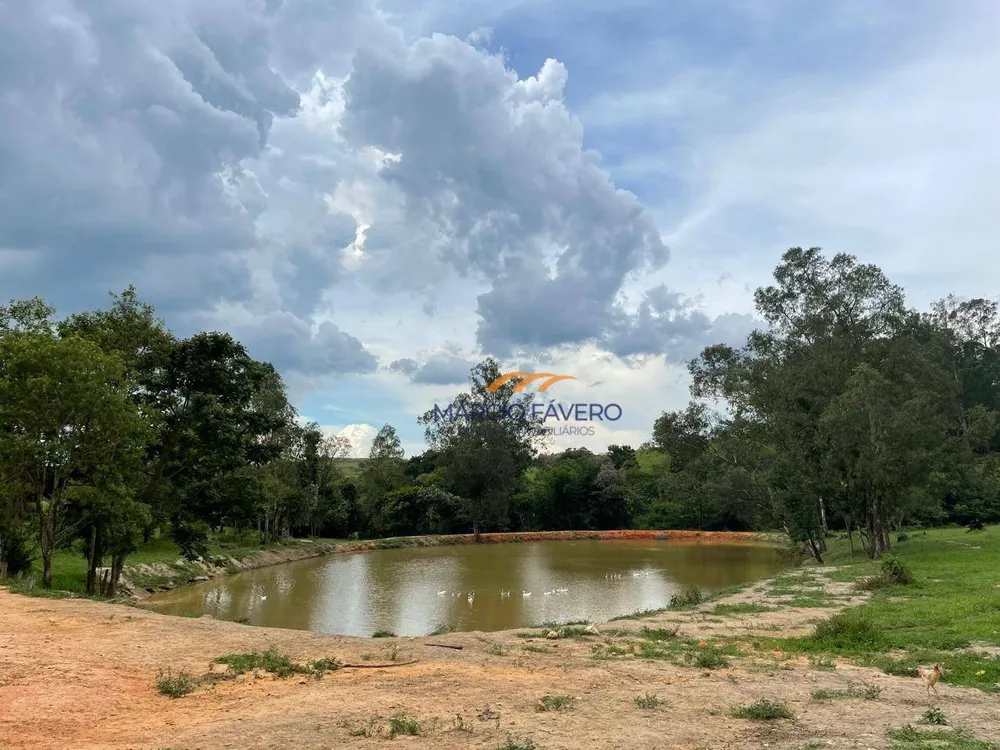 Fazenda, 48 hectares - Foto 12