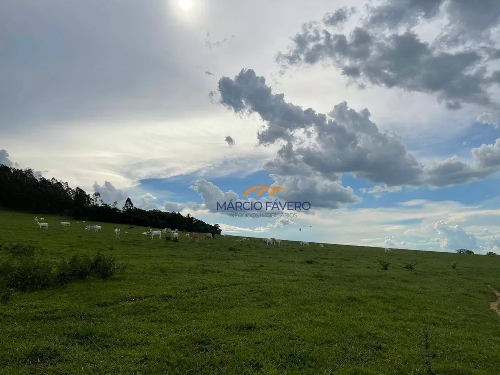 Fazenda, 48 hectares - Foto 3