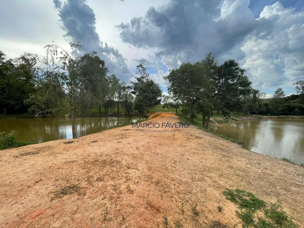 Fazenda, 48 hectares - Foto 13