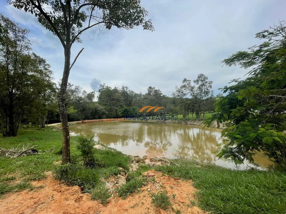 Fazenda, 48 hectares - Foto 14